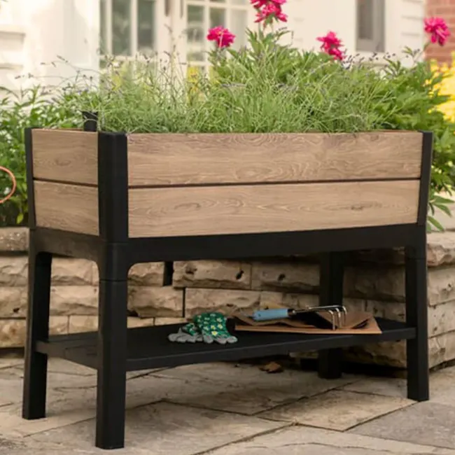 Darwin Raised Garden Bed With Shelf - Ashwood - 3