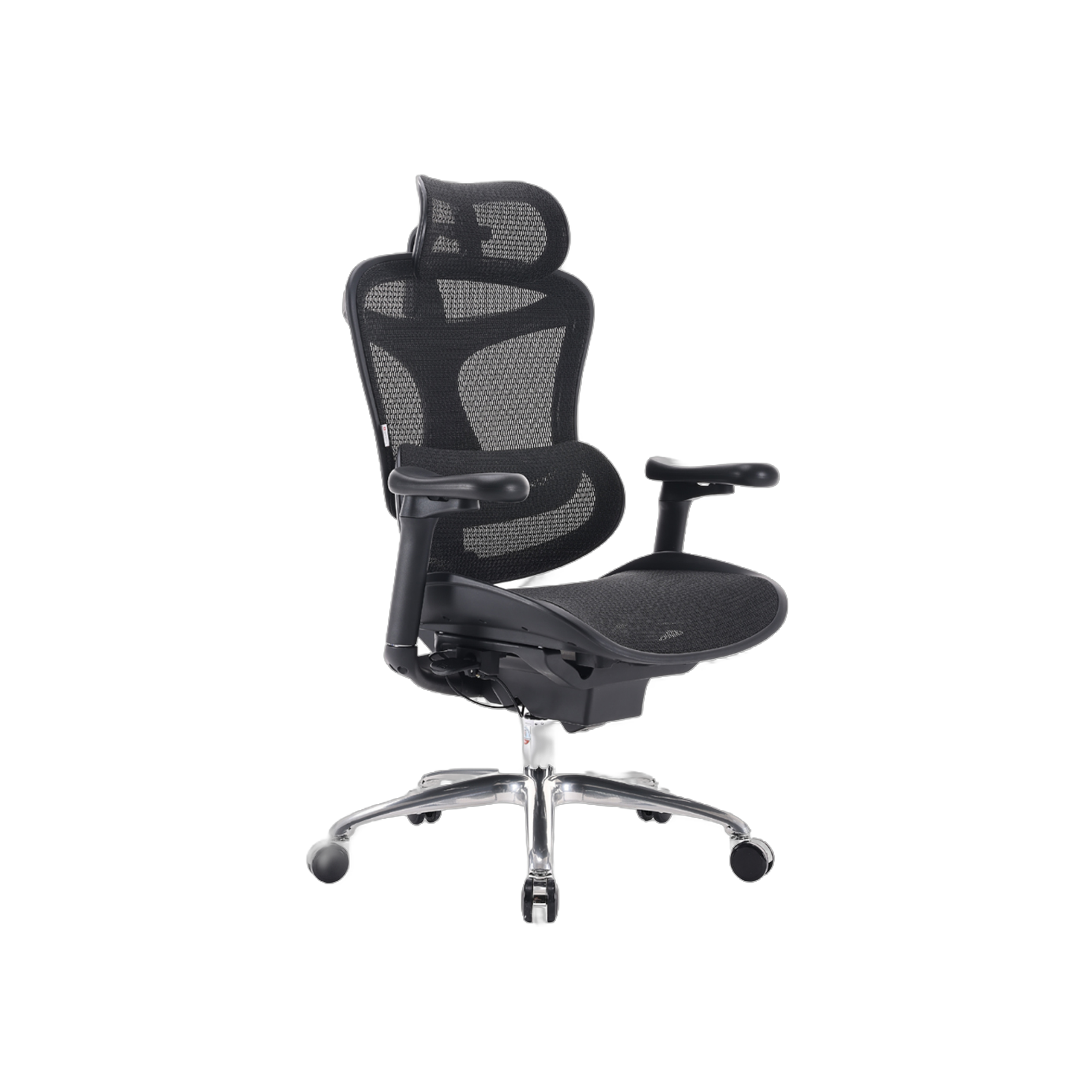 Sihoo C100 Ergonomic Chair - Black