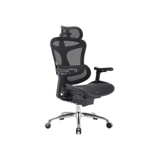 Sihoo C100 Ergonomic Chair - Black - 1