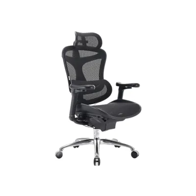 Sihoo C100 Ergonomic Chair - Black