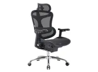Sihoo C100 Ergonomic Chair - Black