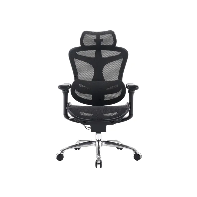 Sihoo C100 Ergonomic Chair - Black - 2