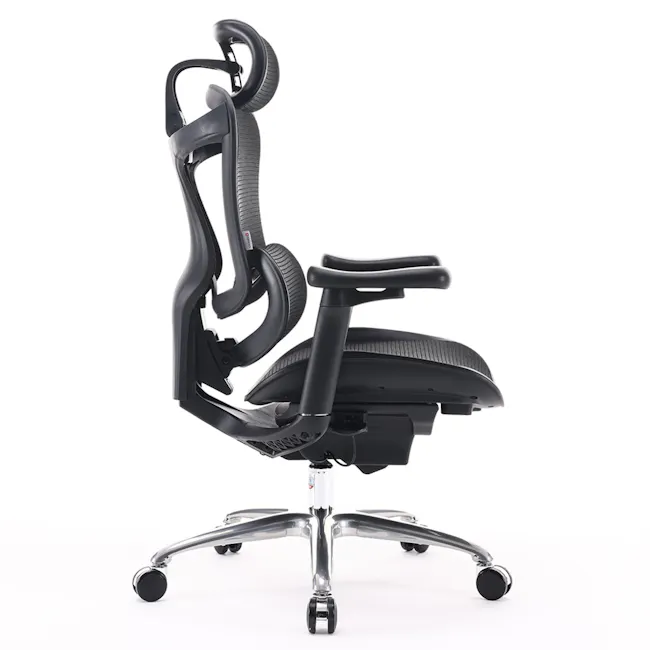 Sihoo C100 Ergonomic Chair - Black - 3