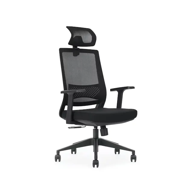 OTO Lumbarax - 1 - Black ergonomic office chair with mesh backrest and armrests, adjustable height lever, padded seat and
