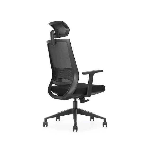 OTO Lumbarax - 2 - Black ergonomic office chair with breathable mesh backrest, adjustable armrests, padded seat and