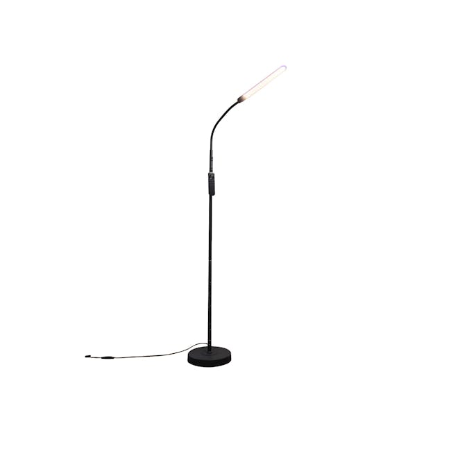 SOUNDTEOH 12W LED Floor Lamp DL-710 - 1