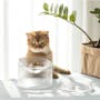 FURRYTAIL Fooddict Elevated Glass Feeding Bowl - Clear - 1