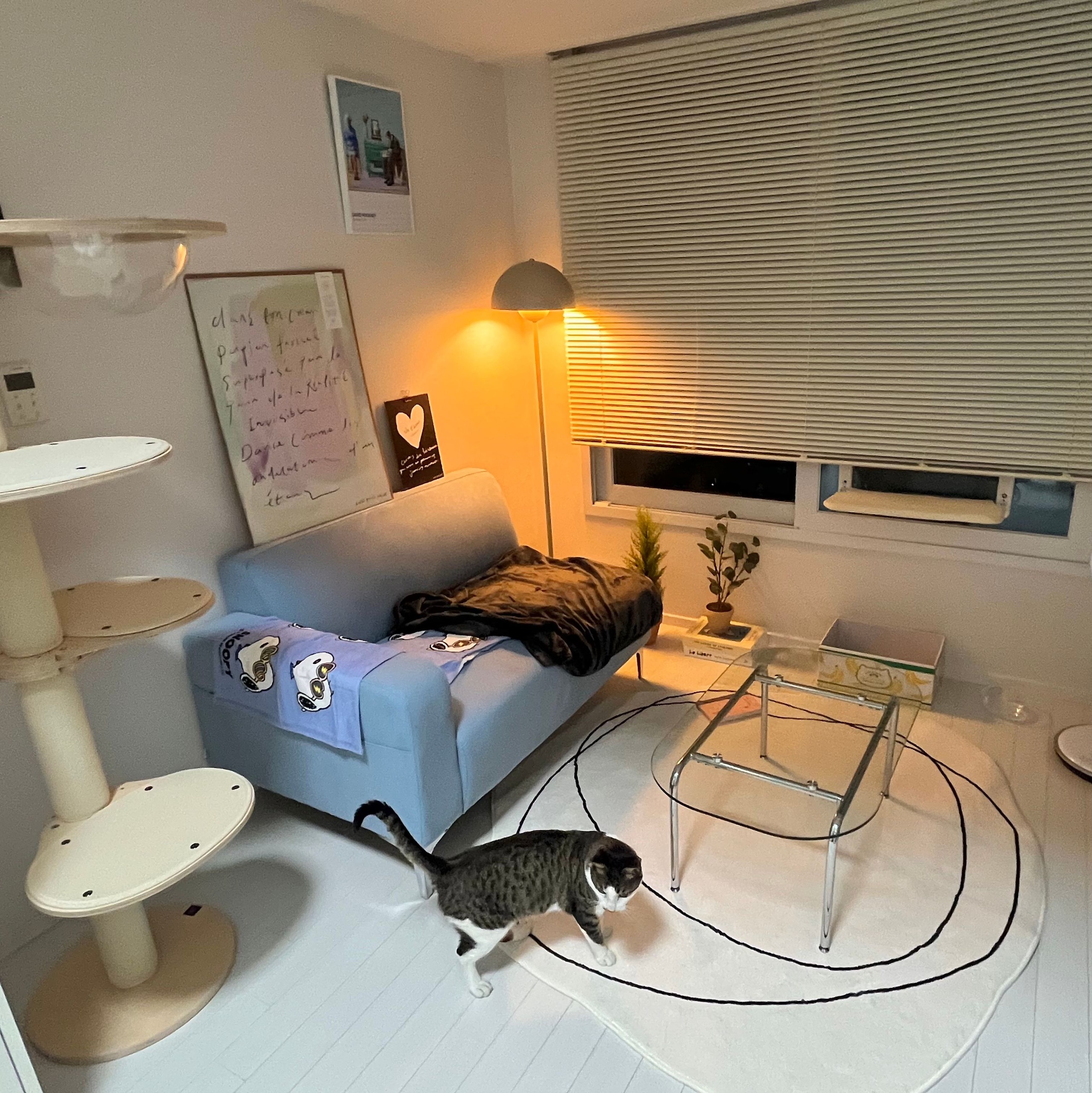 Customer home photo 9