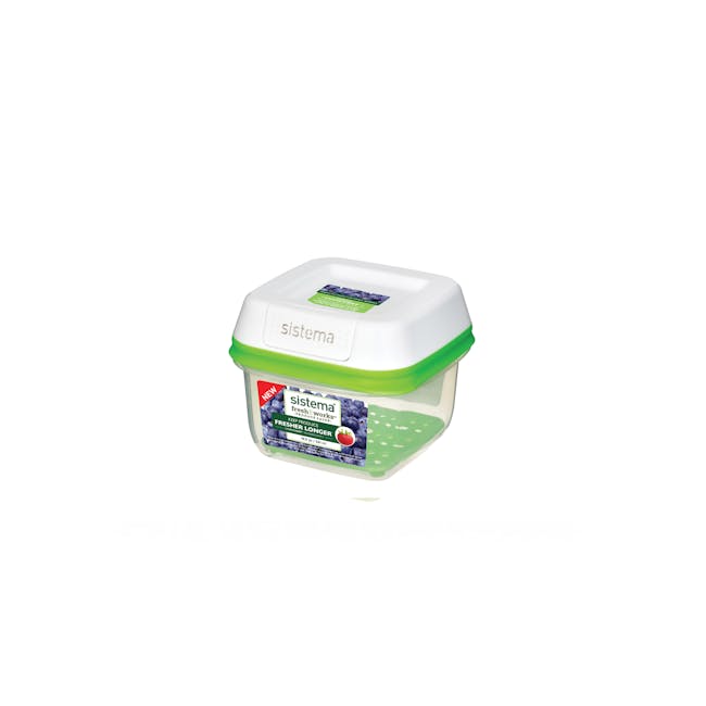 Sistema Freshworks Square Container (3 Sizes) - 5