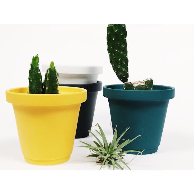 Matte Glaze Mini Plant Pot - Matte Teal - 1