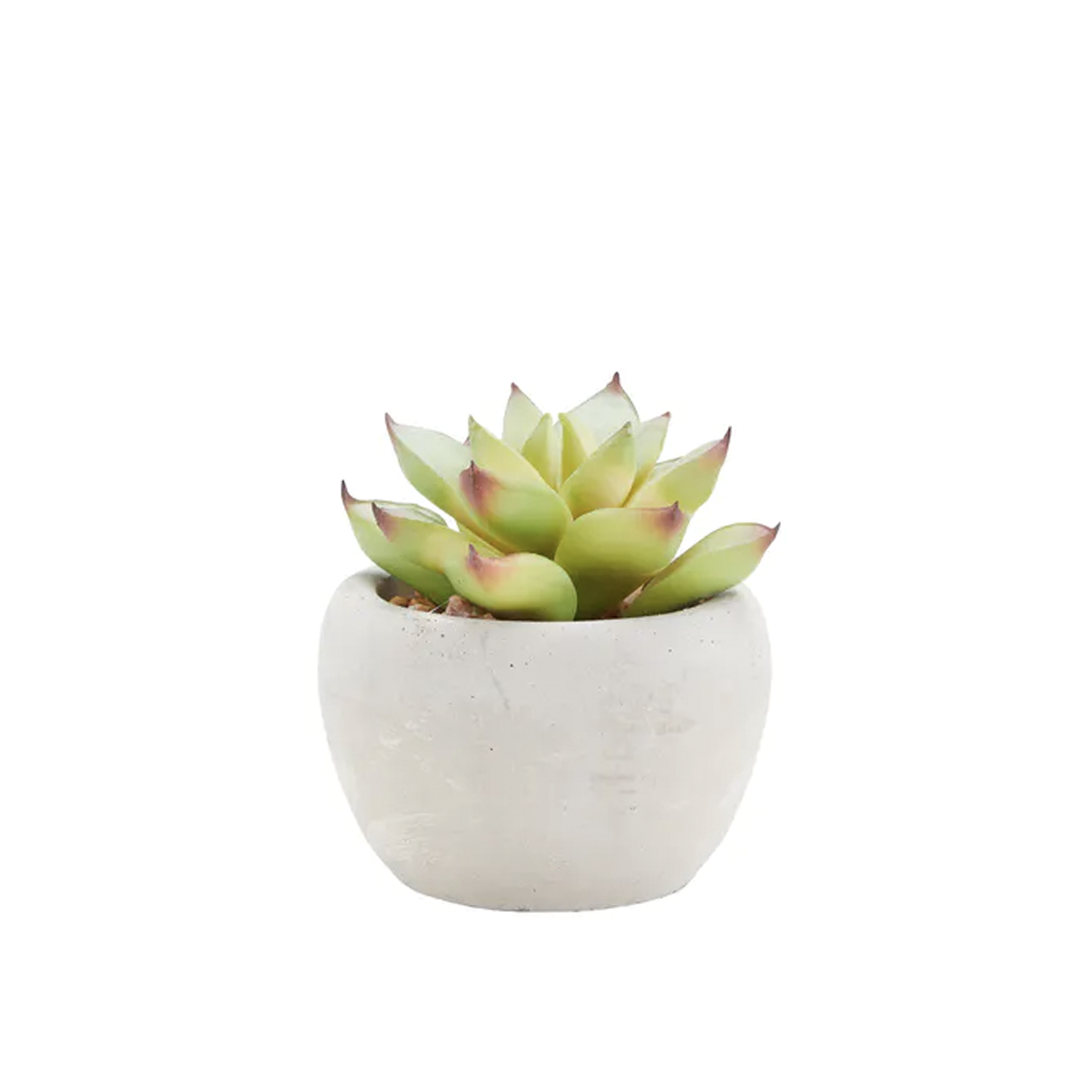 Faux Echeveria with Red Tips in Concrete Planter