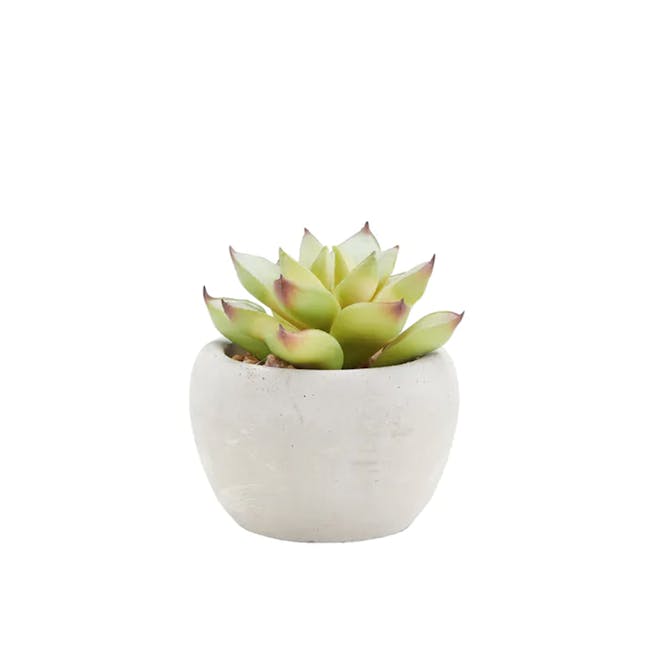 Faux Echeveria with Red Tips in Concrete Planter - 0