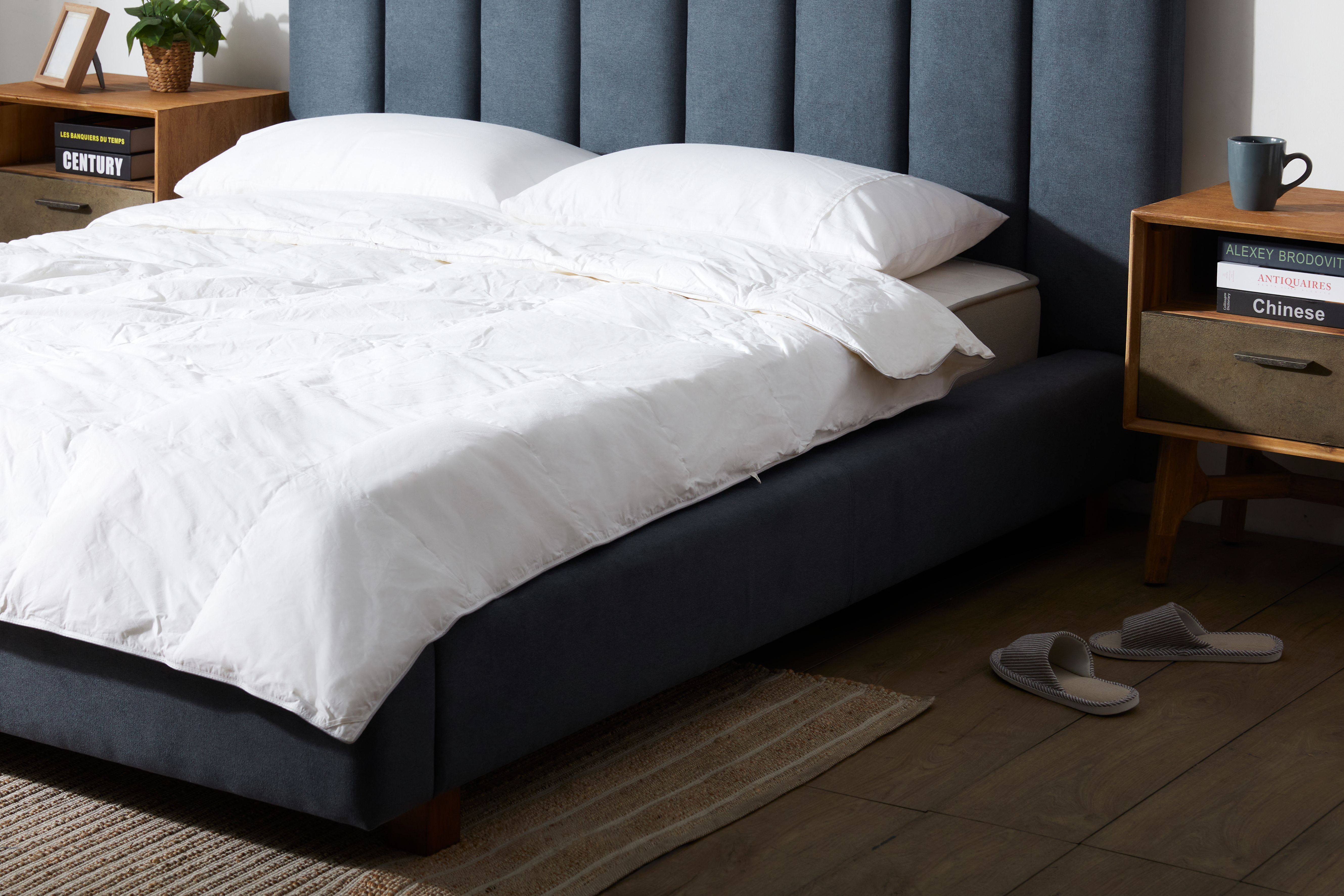 Buy Duvets Online in Singapore HipVan