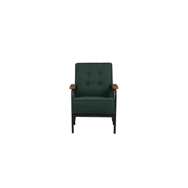 Daryl Armchair - Kale - 1 - Green upholstered armchair with wooden armrests and legs, modern design, comfortable seating
