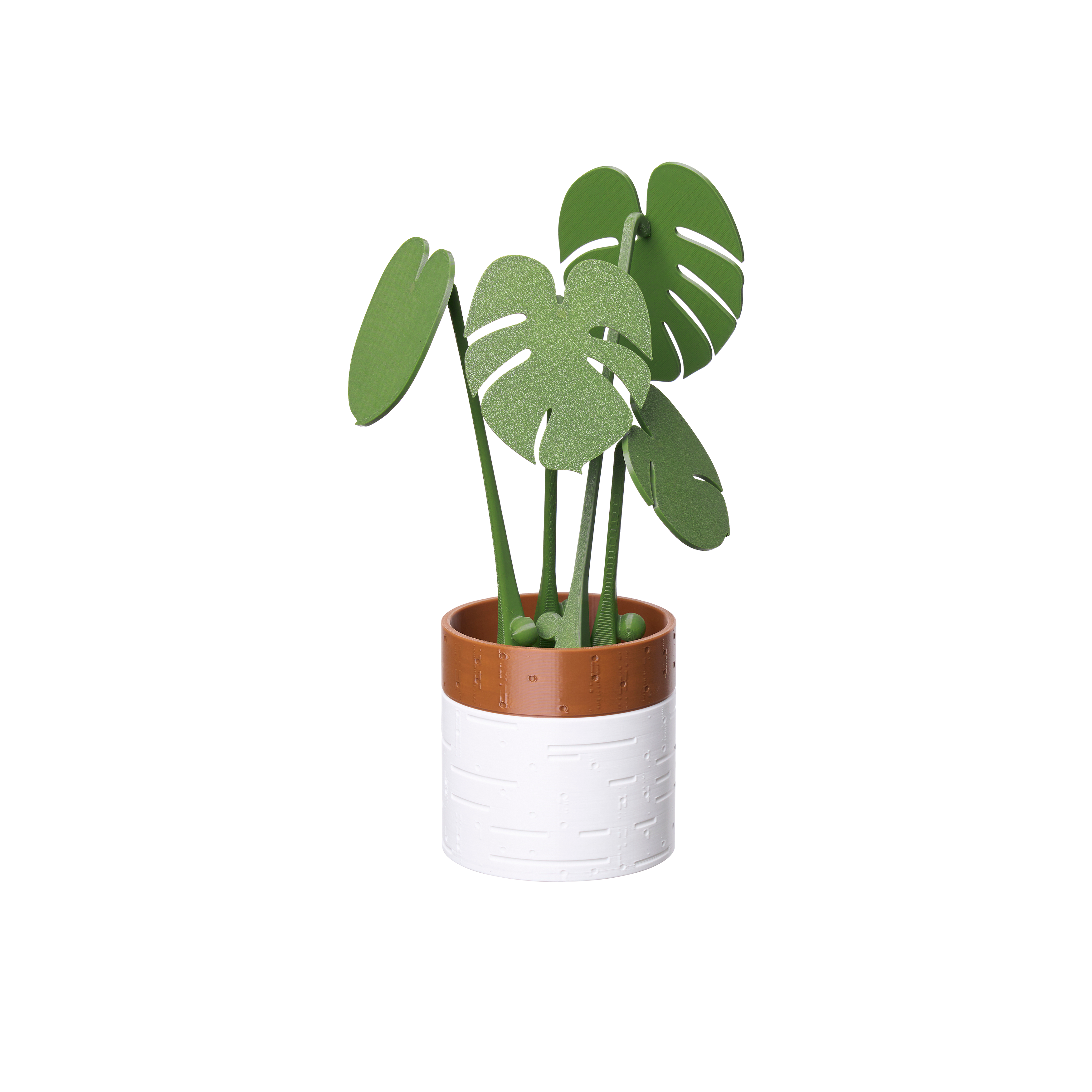 Monstera Coaster Plant with Magnetic Leaves - Army Green