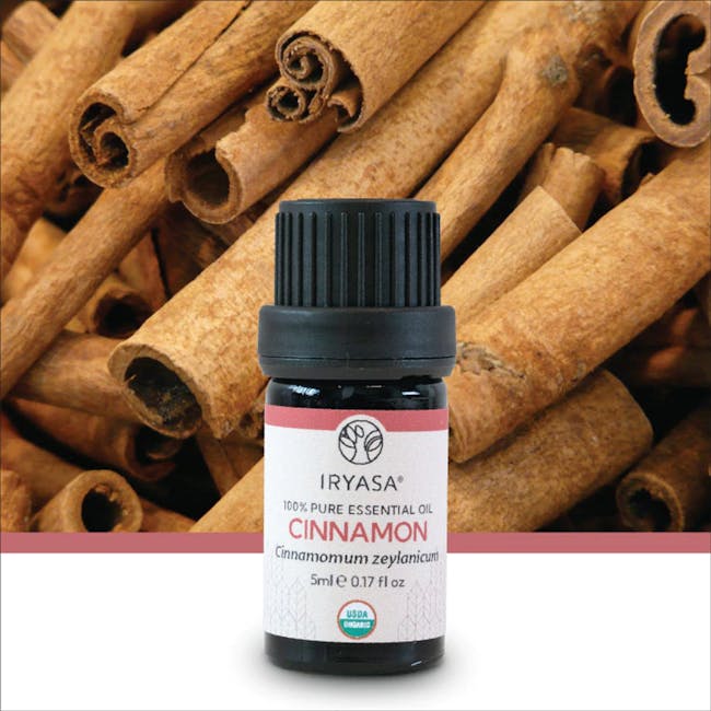 Iryasa Organic Cinnamon Essential Oil - 4