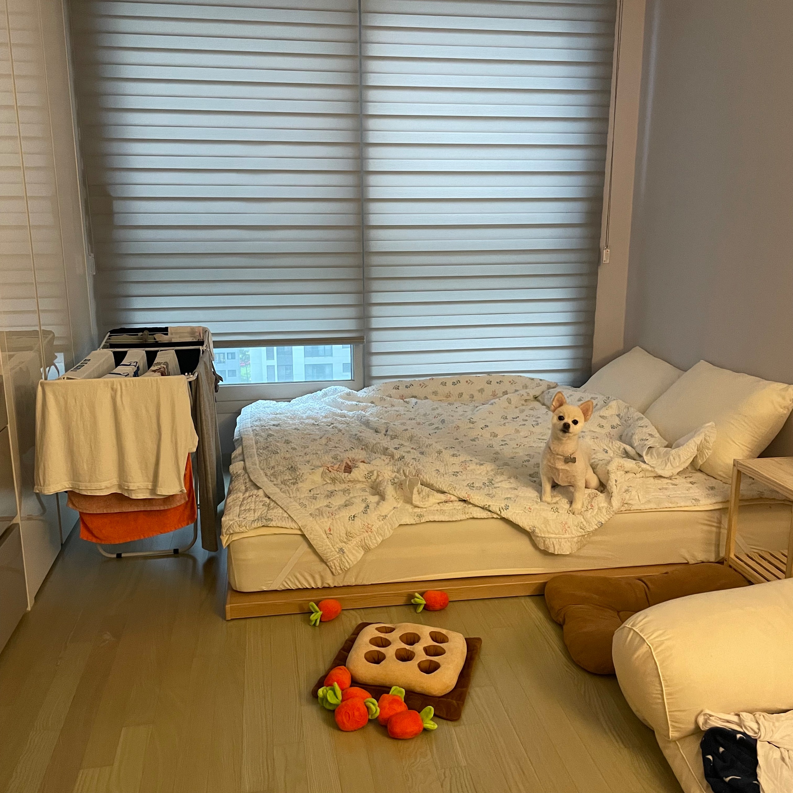 Customer home photo 8