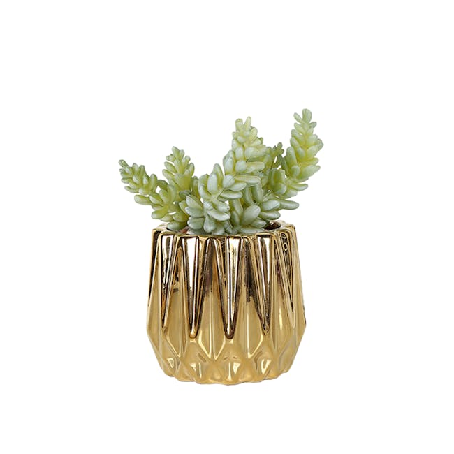 Faux Burro's-tail in Gold Planter - 0