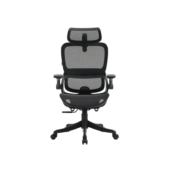 Sihoo B100 Pro Ergonomic Chair - Black - 1