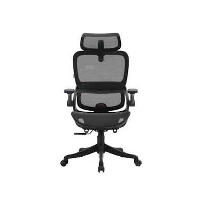 Sihoo B100 Pro Ergonomic Chair - Black
