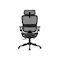 Sihoo B100 Pro Ergonomic Chair - Black