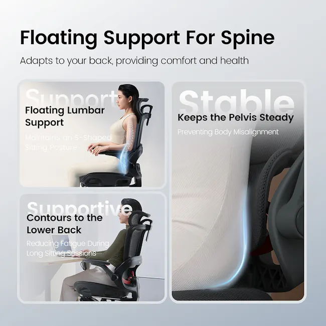 Sihoo B100 Pro Ergonomic Chair - Black - 9