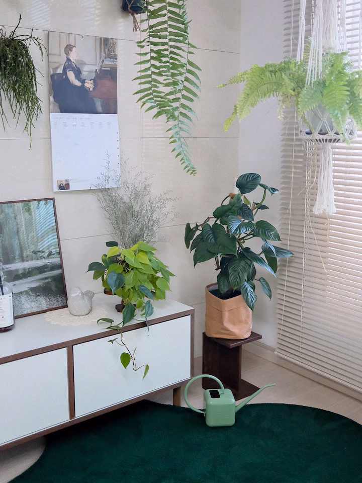 Customer home photo 8