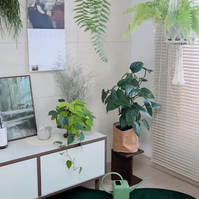 Customer home photo 8