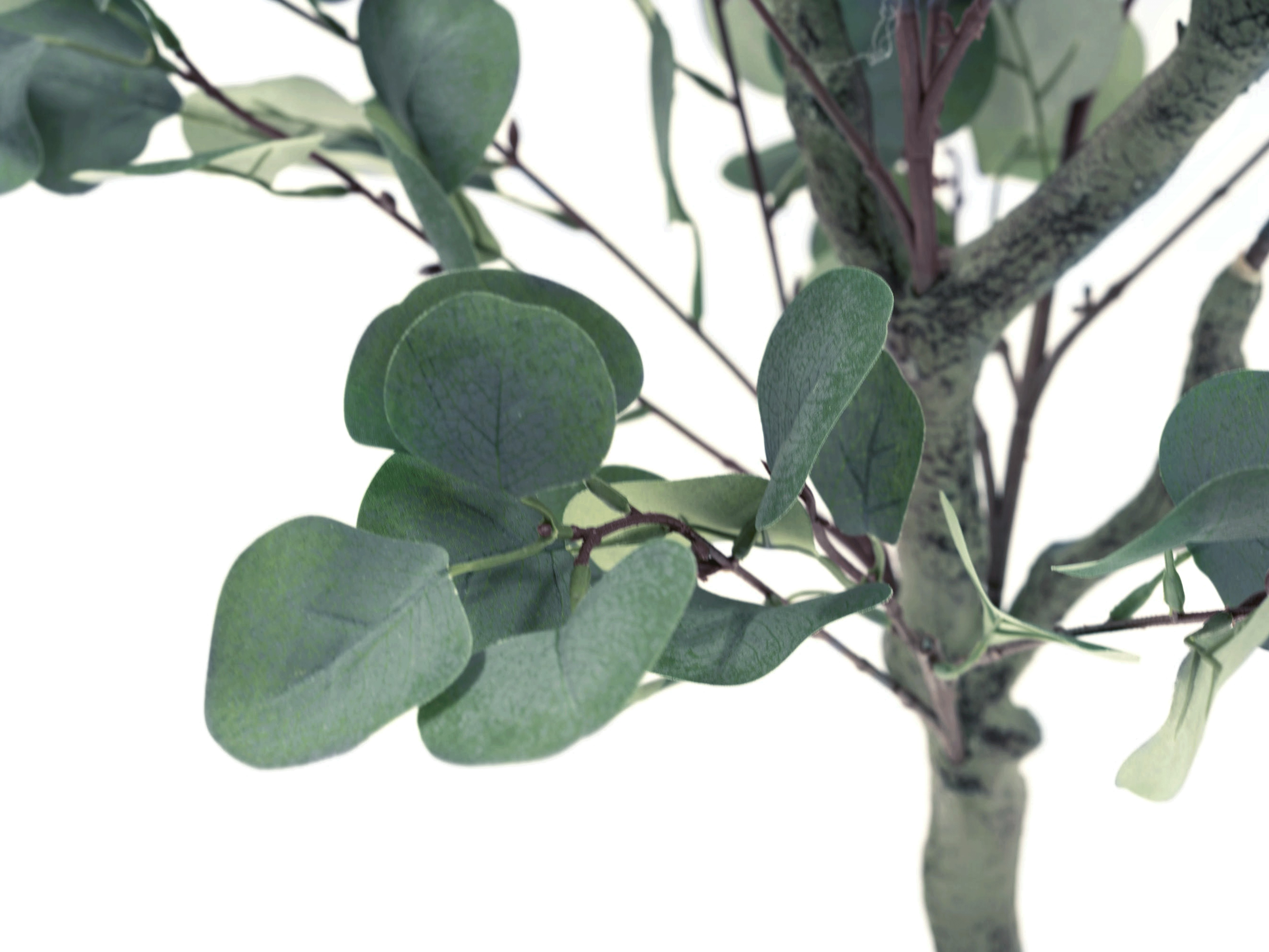 Potted Faux Eucalyptus Tree 160 cm, Botanicals by HipVan | HipVan