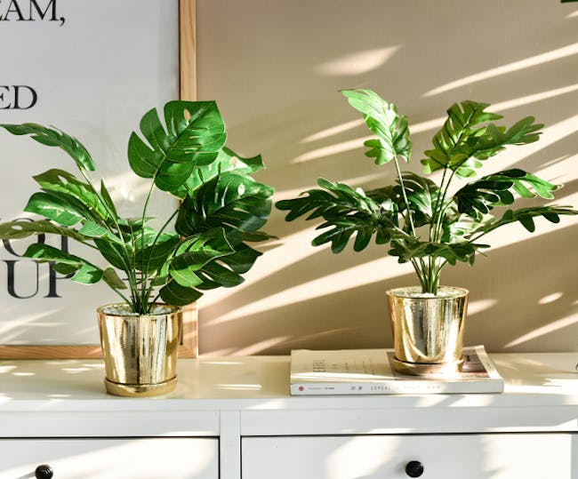 Faux Philendron in Brass Planter - 2