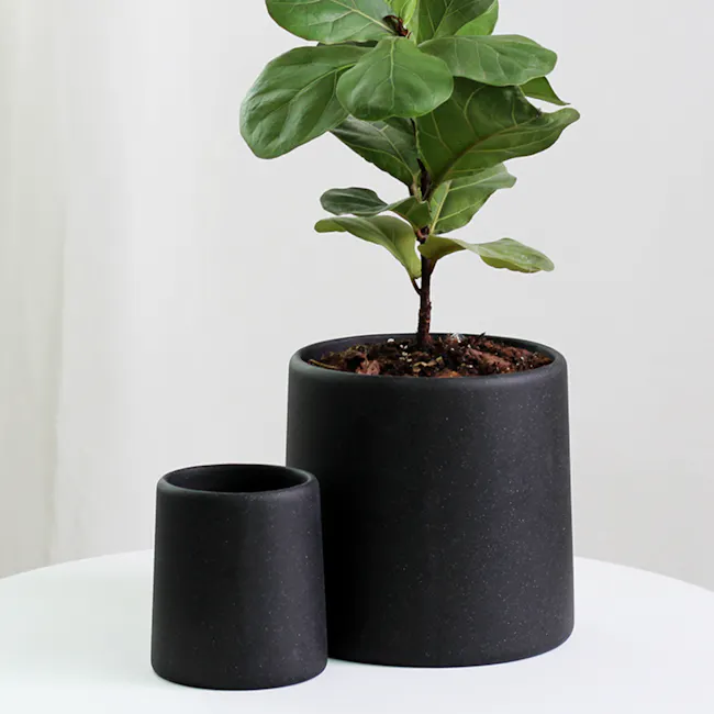 Oliver Black Speckled Cylinder Pot with Saucer - Small - 4 - black ceramic pot, small plant, green leaves, indoor plant