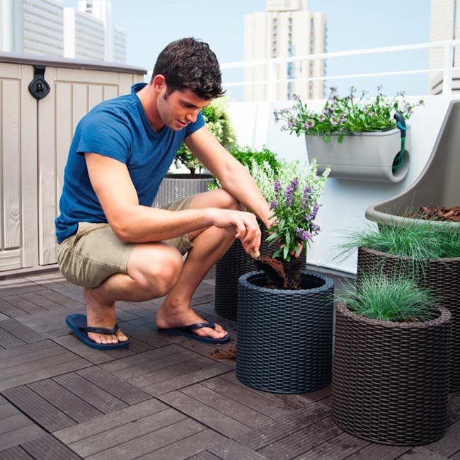 Cylinder Medium Planter - Wood Brown - 2