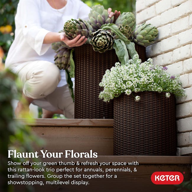 Cylinder Medium Planter - Wood Brown - 3