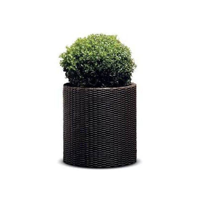 Cylinder Medium Planter - Wood Brown - 4