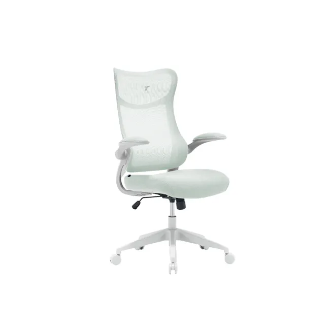 TT AIRFLEX V2 Ergochair - Minty Green - 1