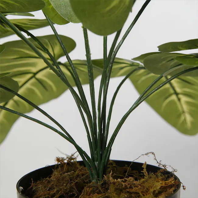 Potted Faux Syngonium Plant 42 cm - 8 - Green plant with long, slender leaves, set against a white background, showcasing