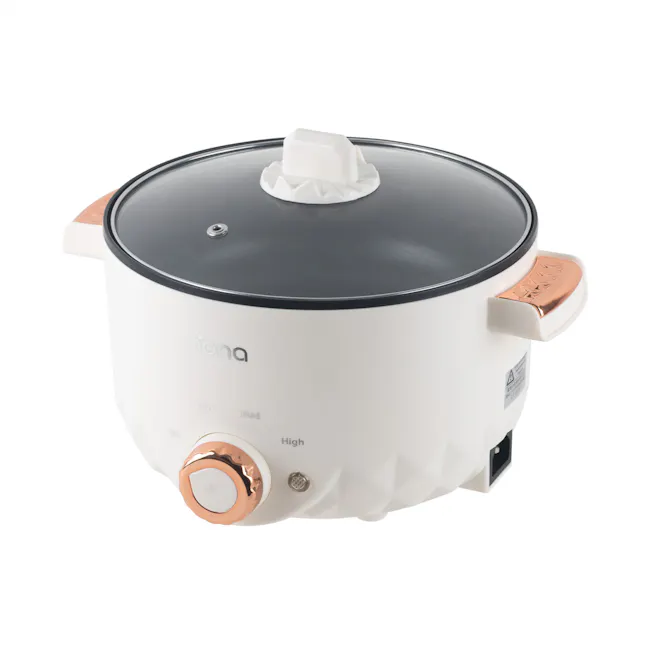 IONA 2.0L Multi Cooker with Steamer - 2