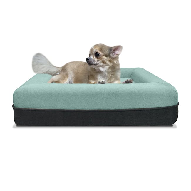 Snooze Doggie Dog Bed - Turquoise (3 Sizes) - 1