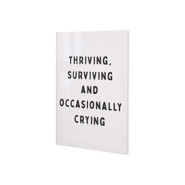 Thriving Surviving Quote Canvas Poster 30 x 40 cm - 4