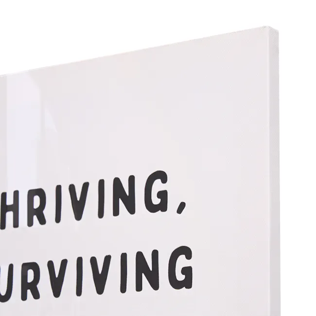 Thriving Surviving Quote Canvas Poster 30 x 40 cm - 6