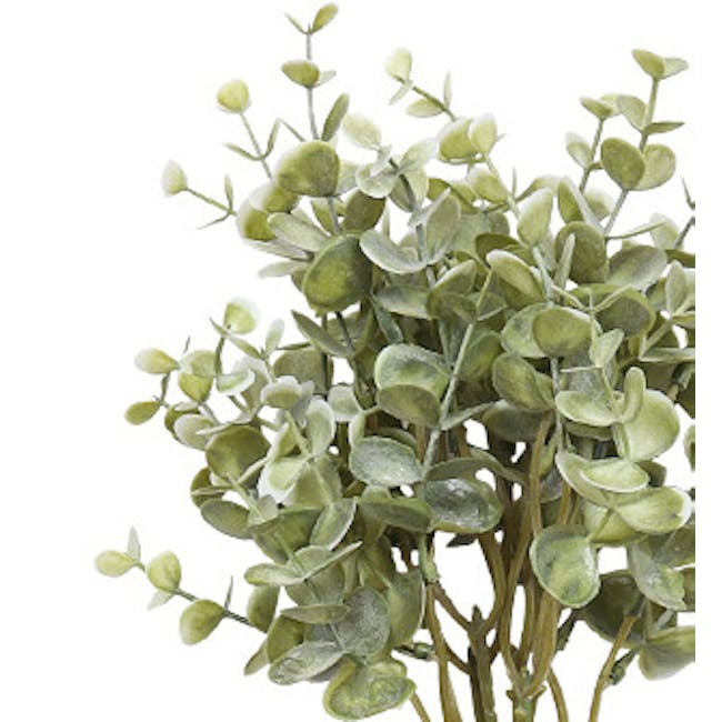 Faux Eucalyptus Stem - Pale Green (Set of 5) - 3