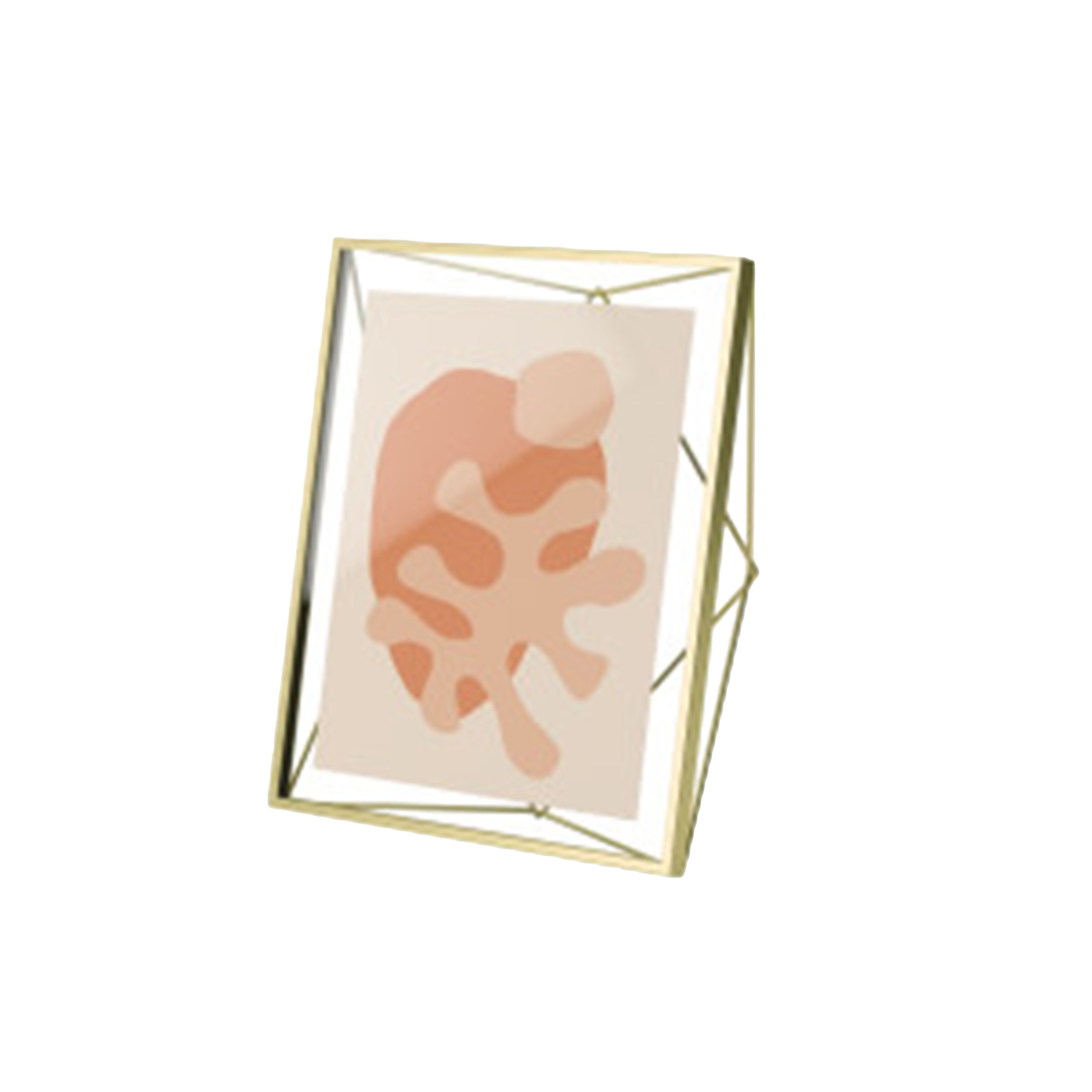 Prisma Photo Display 8 x 10 - Brass
