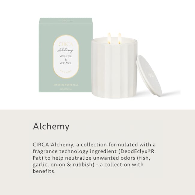 Circa Alchemy Soy Candle 350g - White Tea & Wild Mint - 3