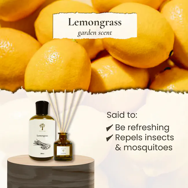 Pristine Arome Home Scent Refill 180ml - Lemongrass (Refill + Reed Stick Set) - 2 - Lemon grass garden scent, refreshing