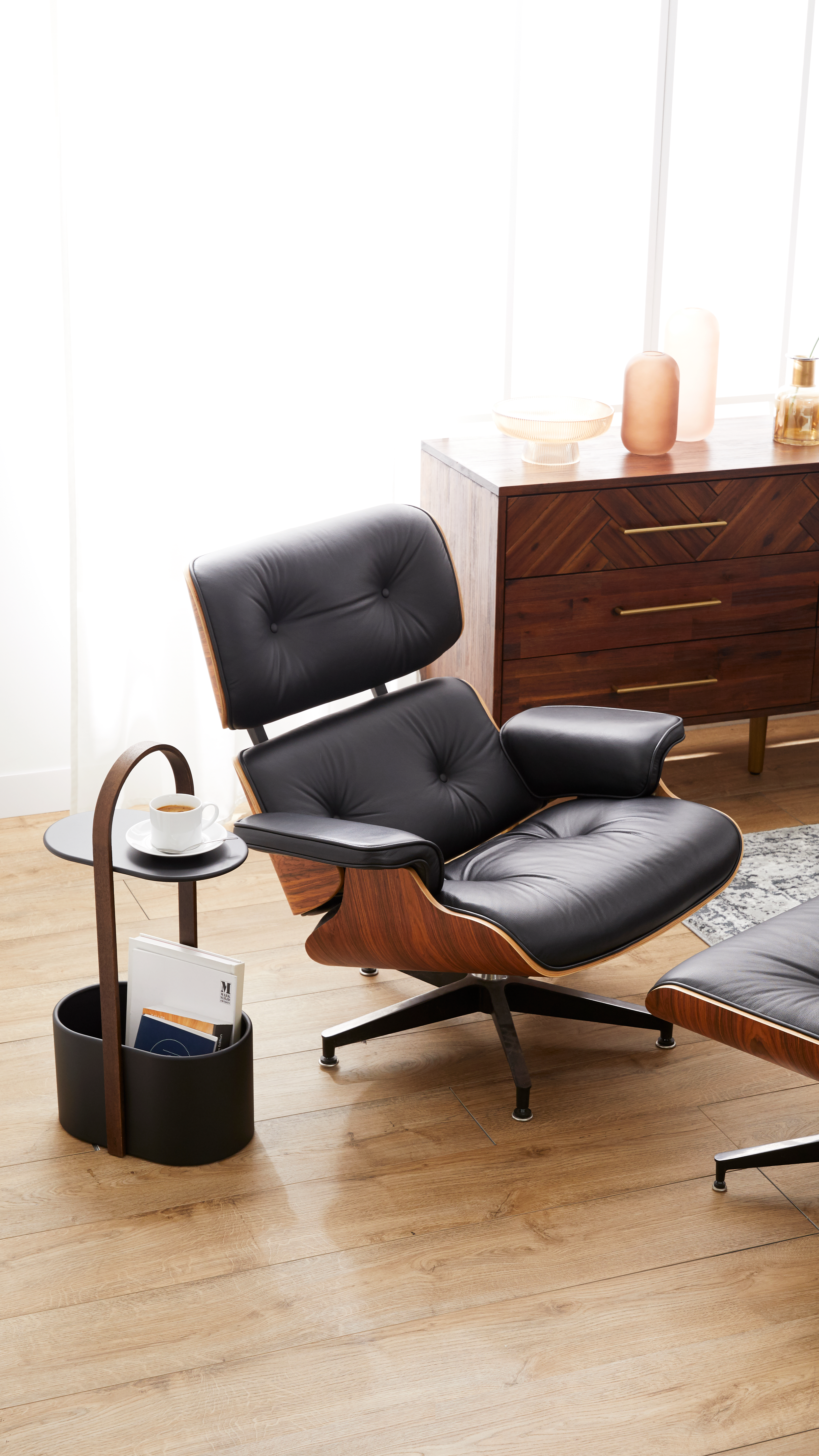 hipvan eames chair