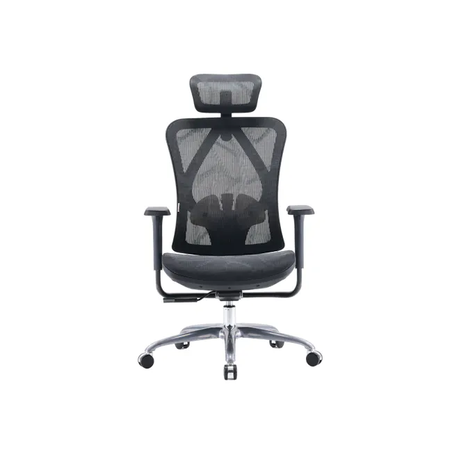 Sihoo M57C Ergonomic Chair - Black - 1