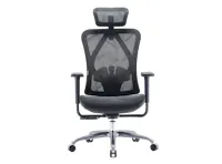 Sihoo M57C Ergonomic Chair - Black
