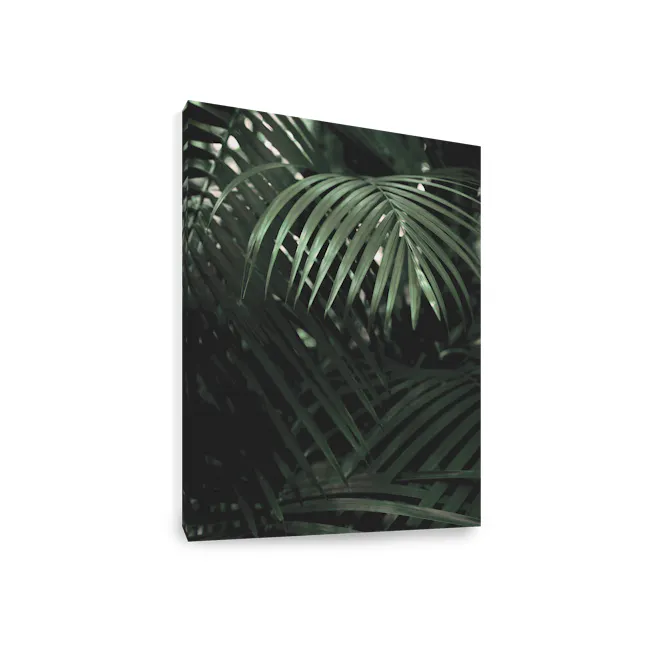 Florae Art Print on Stretched Canvas 50cm by 70cm - Areca Palm - 2 - Green palm leaves, dark shadows, intricate patterns