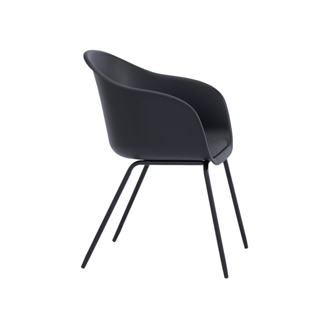 Rayner Dining Armchair - Matt Black, Black - 4