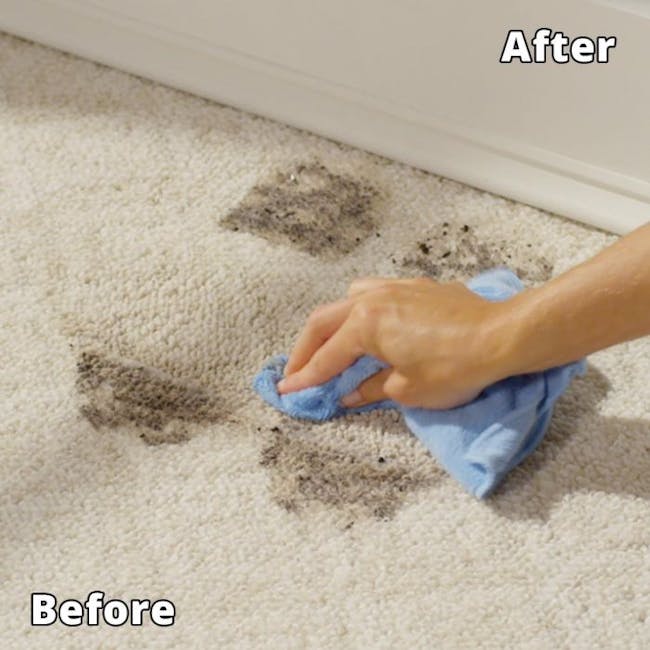 Rejuvenate Natural Carpet & Upholstery Cleaner 32oz - 2